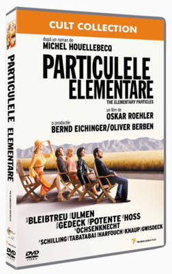 Particulele elementare elementary particles Particulele elementare