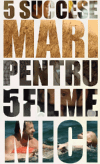 5 succese mari pentru 5 filme mici poster 5 succese 5 succese mari pentru 5 filme mici