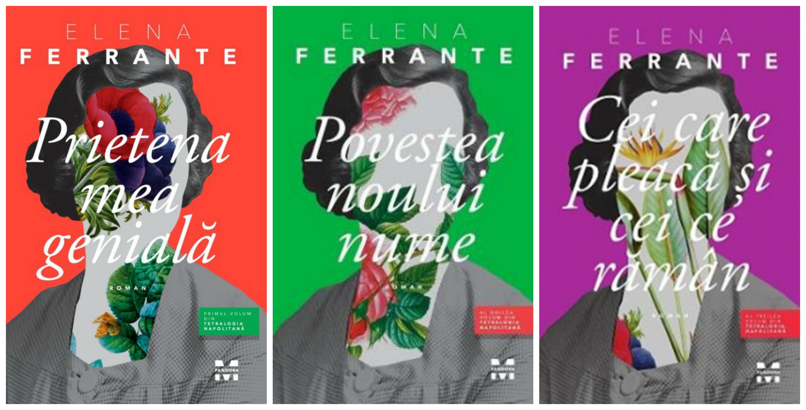 Authentication Surprised format Tetralogia napolitană (primele trei romane), de Elena Ferrante - Blog  Carturesti