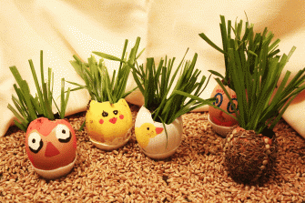 Atelier de ouă roditoare