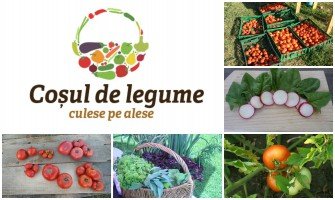 Coșul de legume la Grădina Verona
