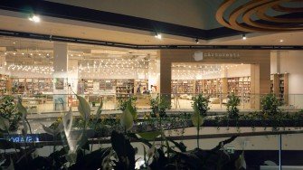 Cărturești Park Lake