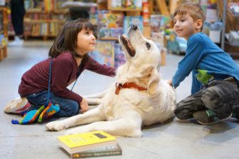 Cărțile Storia pentru copii & adolescenți | 2+1 cadou