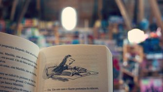 Pasiunea pentru cărți se naște de mic: 20+ cărți pentru copii cu vârsta între 1 și 4 ani