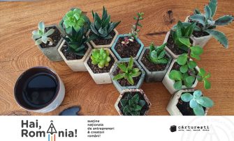 Mihaela Stan despre Plante de aer by Lady and me