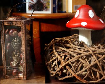 Beatrice Plăviceanu | Povești cu dichis în vitrinele Cărturești