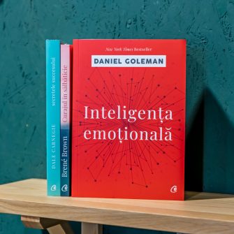 COLECȚIA CURTEA VECHE | 2+1 CADOU