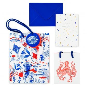 ACCESORII PENTRU CADOURI | 20% reducere