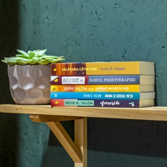 AUTORUL LUNII: IRVIN D. YALOM | reducere 20%