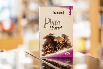 Franzobel lansează romanul „Pluta Meduzei” la Iași