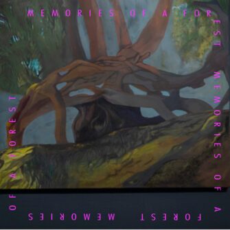 Pădurea, sursă de inspirație pentru scriitori și artiști deopotrivă