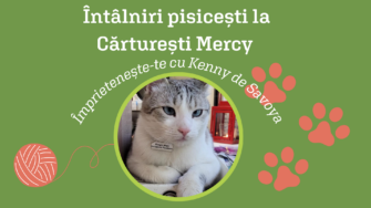 Întâlniri pisicești la Cărturești Mercy | Împrietenește-te cu Kenny de Savoya