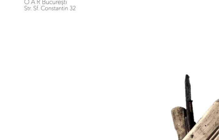 Vernisajul expoziției „Linea lignea” / interviu cu Irina Neacșu: Pentru mine, detaliul este scara de măsură a lumii